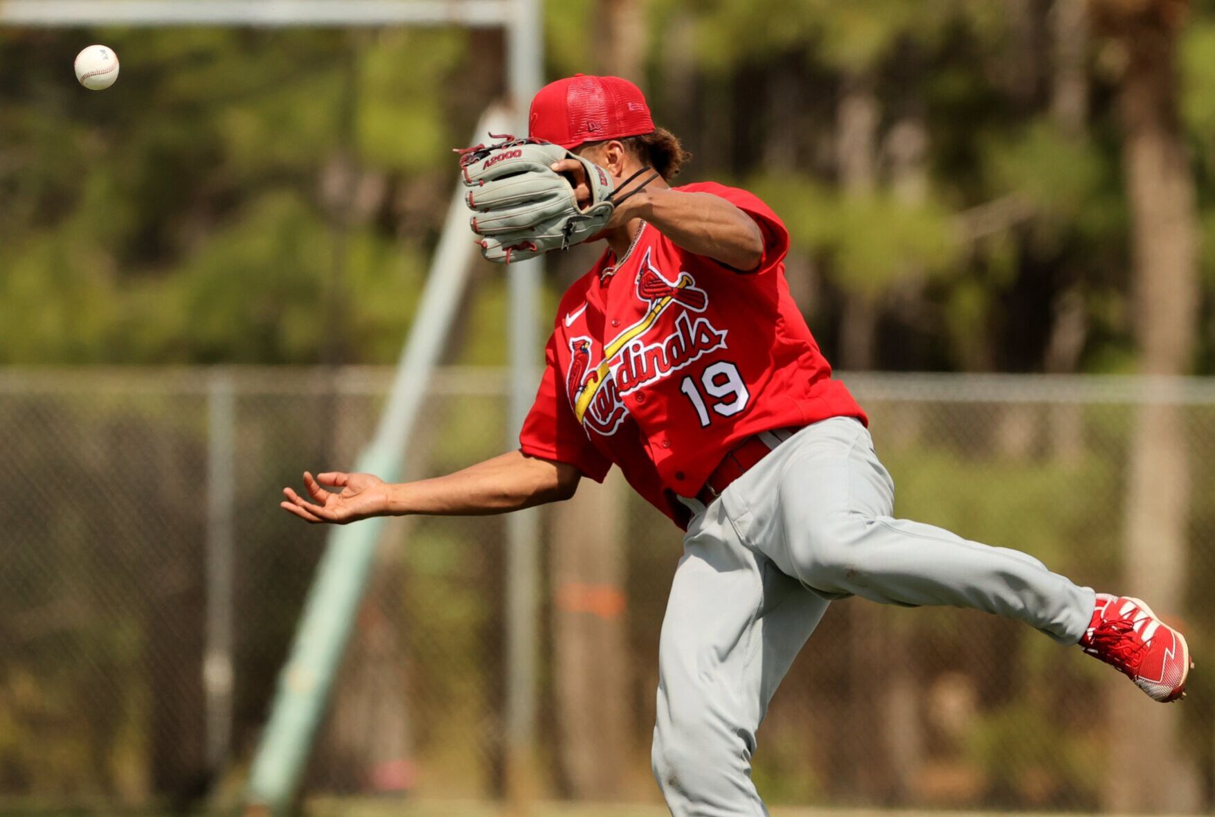 Cardinals minor-league spring training day three in Jupiter